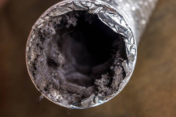 Best Local Air Duct Cleaning Services  in Waterville, MN
