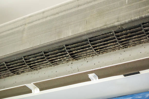Best Commercial HVAC Duct Cleaning  in Waterville, MN