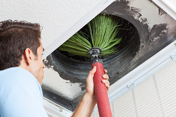 Best Home Air Vent Cleaning  in Waterville, MN