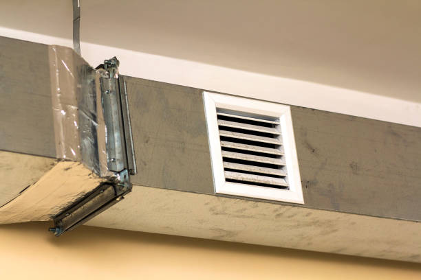 Best Home Air Vent Cleaning  in Waterville, MN
